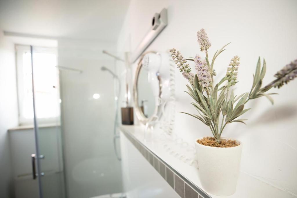 Hotel Weisse Muehle Breitenworbis Luaran gambar